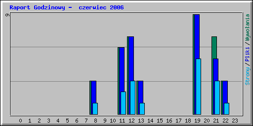 Raport Godzinowy -  czerwiec 2006