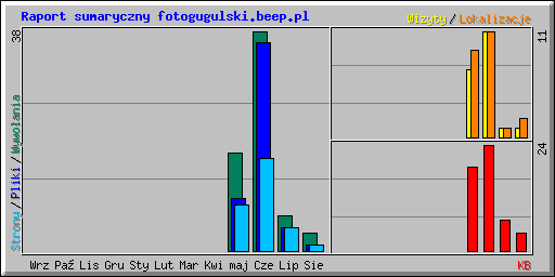 Raport sumaryczny fotogugulski.beep.pl
